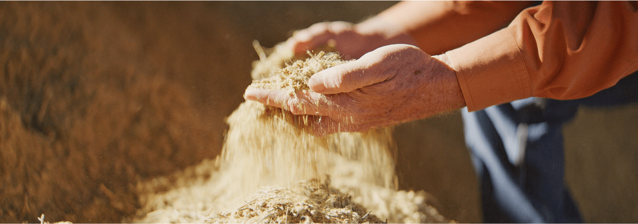 Farmer with Grain